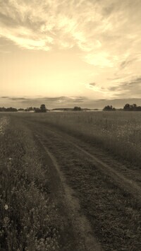 Szary + Sepia