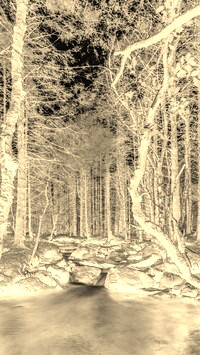 Sepia + Negatyw