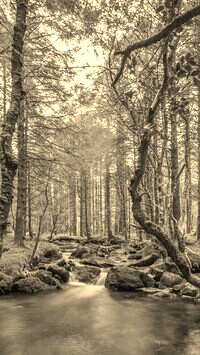 Sepia