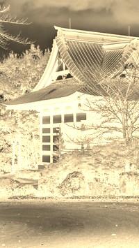 Sepia + Negatyw