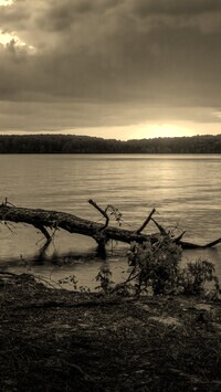Szary + Sepia