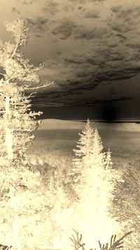 Sepia + Negatyw