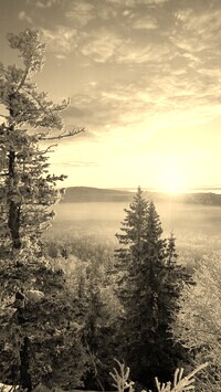 Sepia