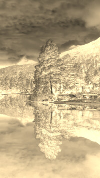 Sepia + Negatyw