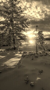 Sepia