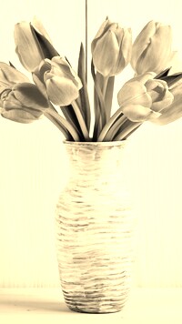 Szary + Sepia