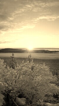 Sepia