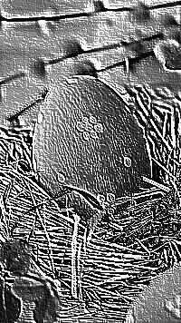 Skamielina