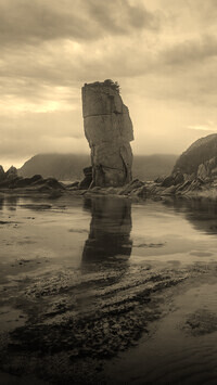 Szary + Sepia