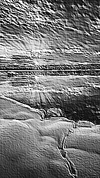 Skamielina