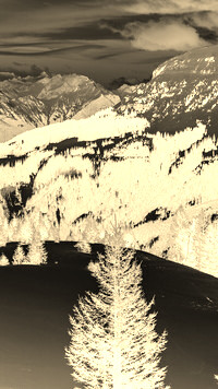 Sepia + Negatyw