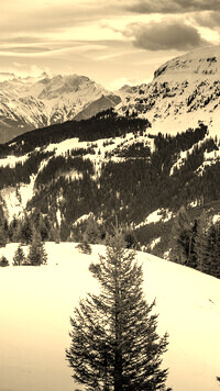 Sepia