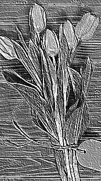 Skamielina