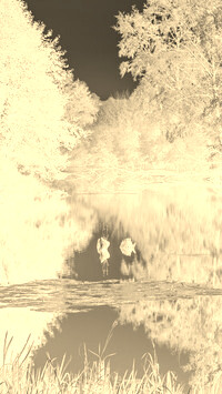 Sepia + Negatyw