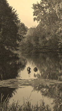 Sepia