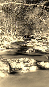 Sepia + Negatyw