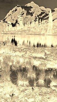 Sepia + Negatyw