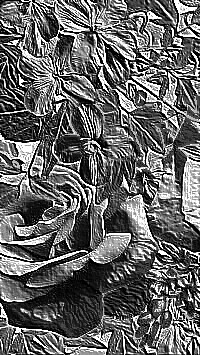 Skamielina