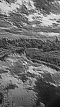 Skamielina