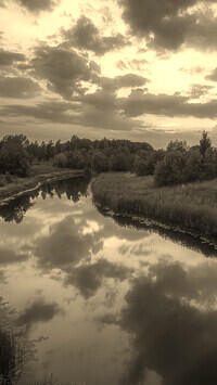 Szary + Sepia