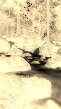 Sepia + Negatyw