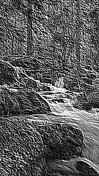 Skamielina