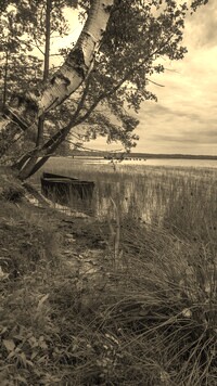 Szary + Sepia