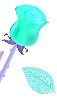 Negatyw