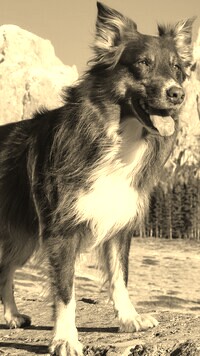 Sepia