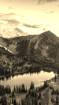 Szary + Sepia