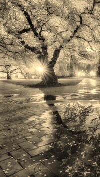 Szary + Sepia