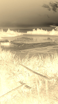 Sepia + Negatyw