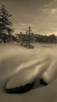 Szary + Sepia