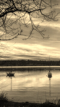Sepia