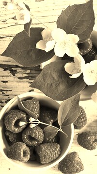 Szary + Sepia