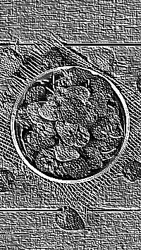 Skamielina