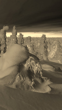 Sepia + Negatyw