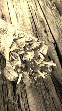 Szary + Sepia