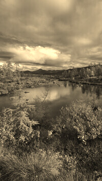 Sepia