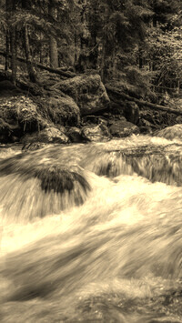 Sepia