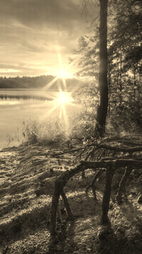 Szary + Sepia