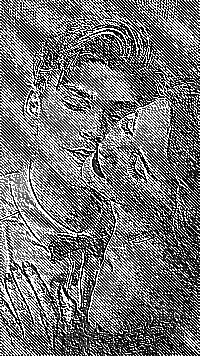 Skamielina