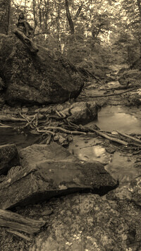 Sepia