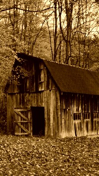 Sepia