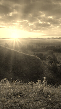 Szary + Sepia