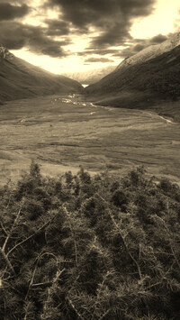 Sepia