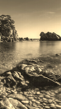 Szary + Sepia