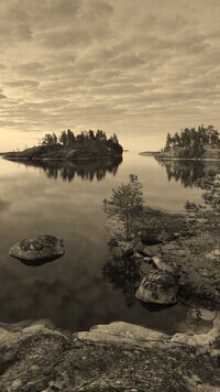 Sepia