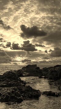 Szary + Sepia