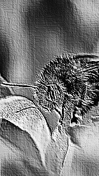Skamielina
